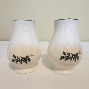 H20. Salt and pepper shaker, holly berry